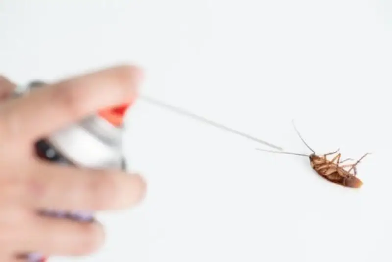 woman hand spray pesticide kill cockroach