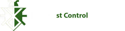 Best Pest Control London